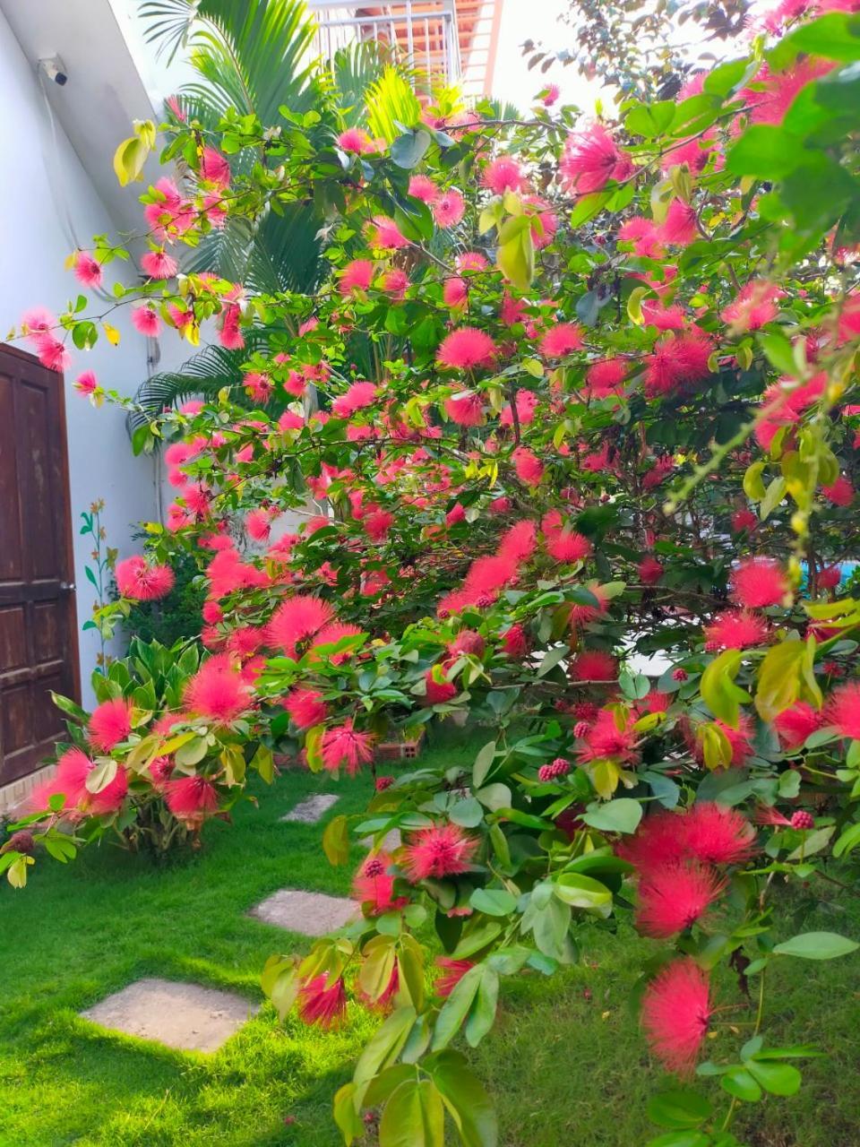 Serenity Garden Phú Quý Zewnętrze zdjęcie